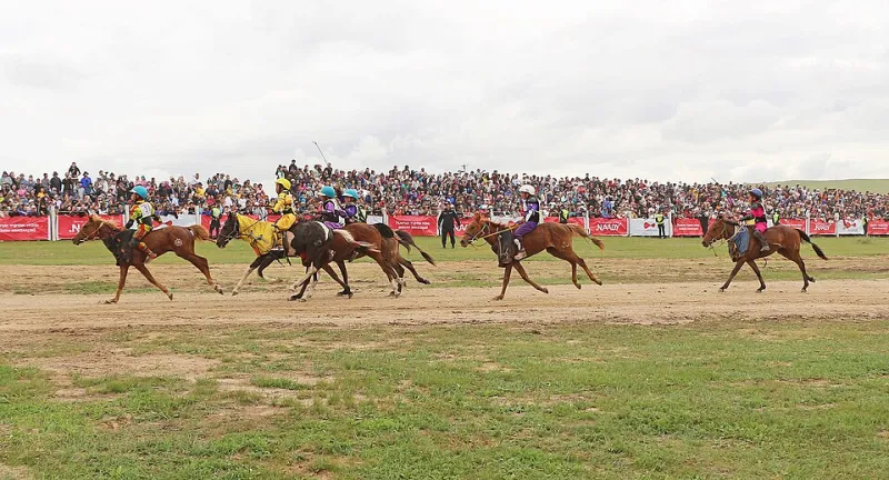 Rodeo Country Meets the Steppe: An American's Honest Take on Naadam